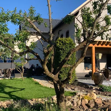 Burgklause Guest house Schonecken